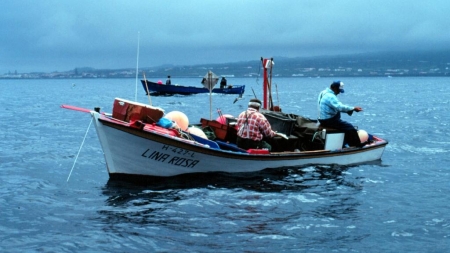 A pesca artesanal nos Açores é mais rentável que a pesca industrial