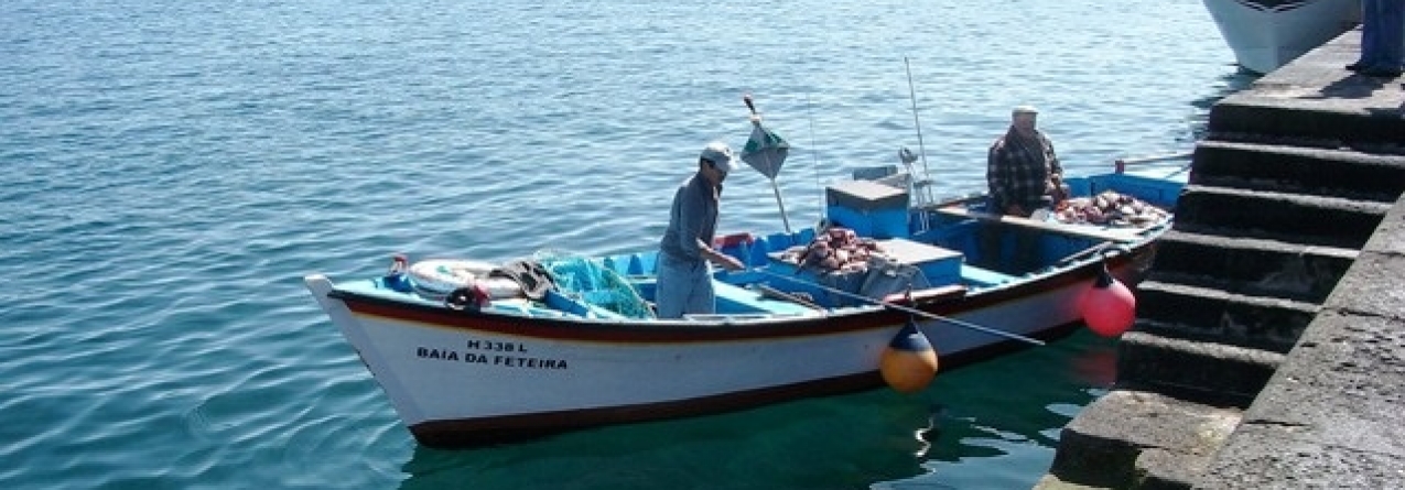 Barcos de boca aberta sem condições para ter diário de pesca electrónico exigido por Bruxelas
