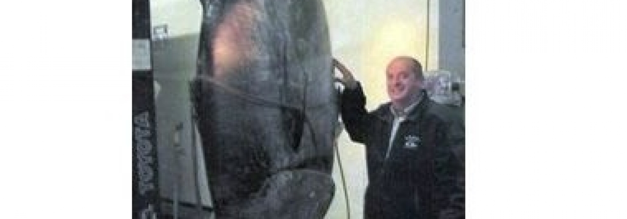Multado por apanhar um atum gigante