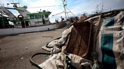 Dois barcos espanhóis retidos na Figueira da Foz por pesca ilegal