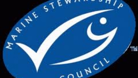 Suspensão da certificação MSC para a pesca da Sardinha Portuguesa Com Arte de Cerco