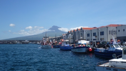 O meu primeiro barco