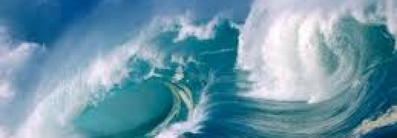 Hoje celebra-se o Dia Mundial dos Oceanos