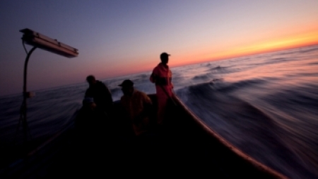 Série Mar Português: pesca, um mar de oportunidades perdidas (vídeo)