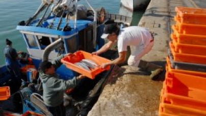 Total da pesca descarregada nos Açores em 2012 caiu 16,9 por cento