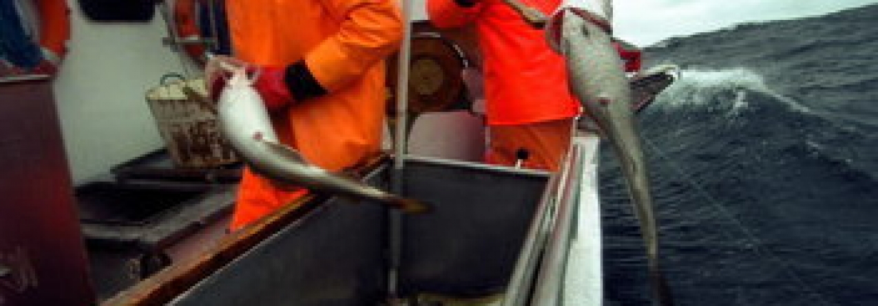 Pescadores da Noruega preocupados com a crise em Portugal