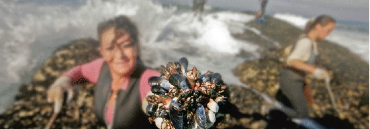 As guerreiras do mar