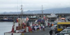 O que está em causa na nova política europeia de pescas