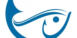 Comunicado APEDA & Porto de Abrigo