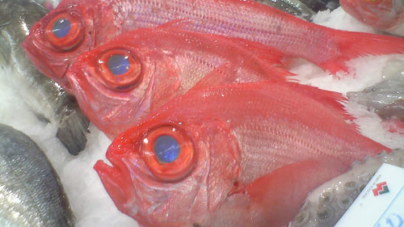 Comissão Europeia acerta contas e retira 54 toneladas à quota de alfonsim nos mares dos Açores