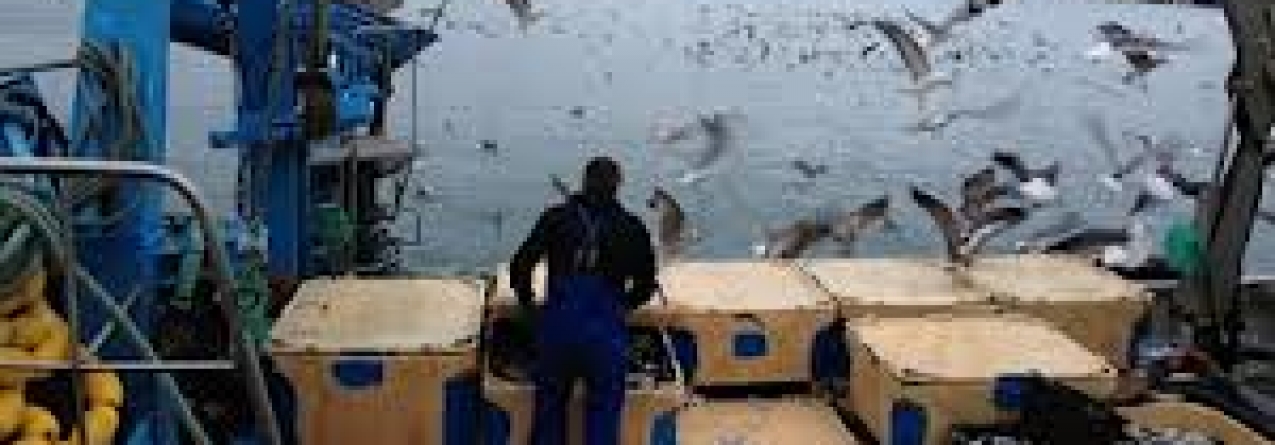 Governo dos Açores rejeita atrasos nos apoios aos pescadores