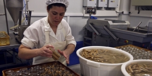 Salsicha de atum? Sim, já existe e é saborosa