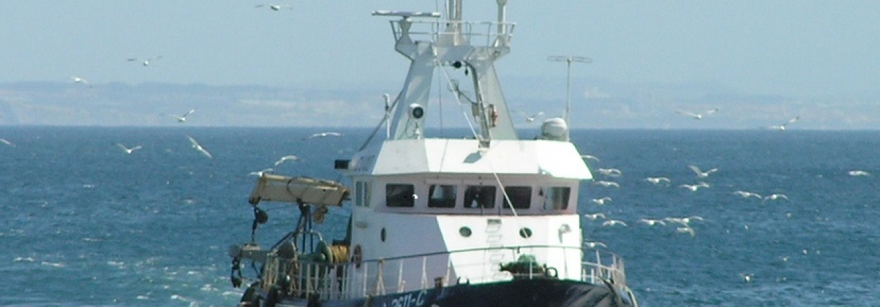 Governo dos Açores regulamenta pesca por Arte de Cerco e por Arte de Levantar