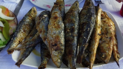 “Todo o cuidado é pouco” para salvar sardinha portuguesa em risco