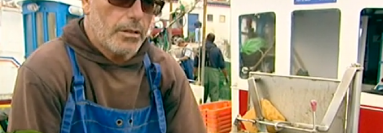 Boas práticas de pesca na costa portuguesa (video)