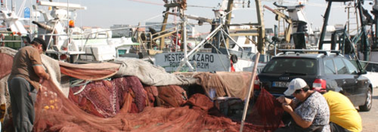 Pesca da sardinha: barcos em terra e pescadores à deriva