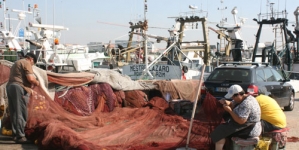 Pesca da sardinha: barcos em terra e pescadores à deriva