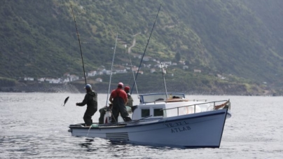 ICCAT – Prolongamento do regime de exceção da pesca do atum bonito no Atlântico