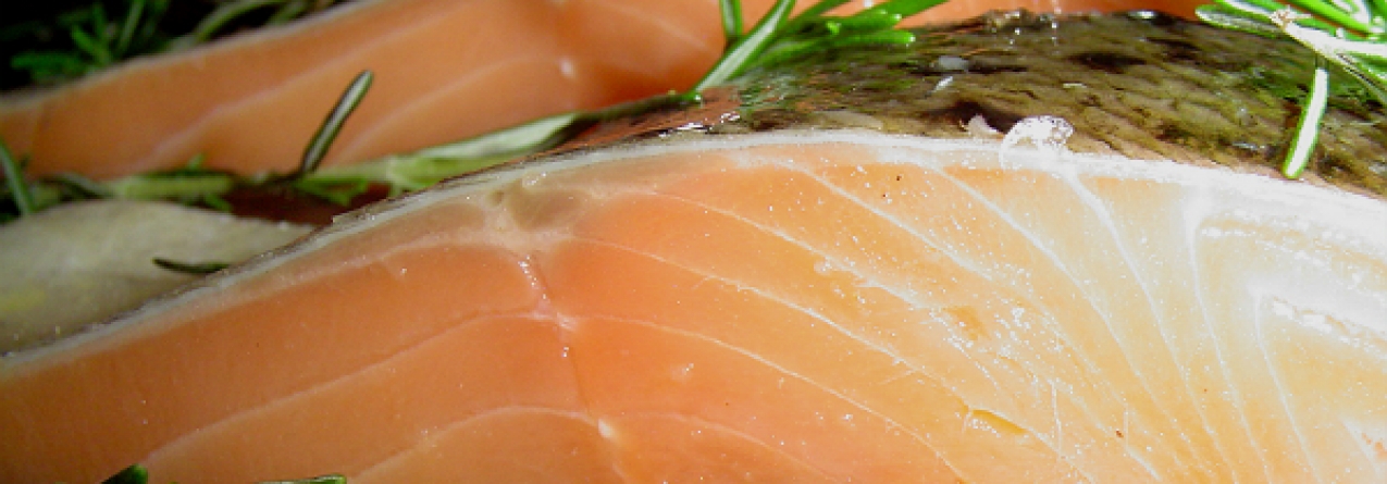 Consumir cavala e salmão reduz risco de artrite reumatóide