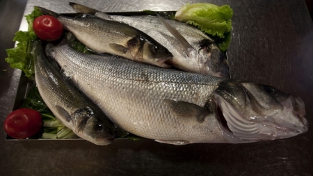 Crianças devem consumir mais peixe no início do ano lectivo para reforço das defesas