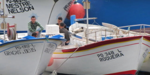 Sindicato critica ativação do Fundopesca nos Açores apenas para duas ilhas
