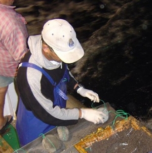 Europa chega a acordo sobre proibição da rejeição de pescado no mar