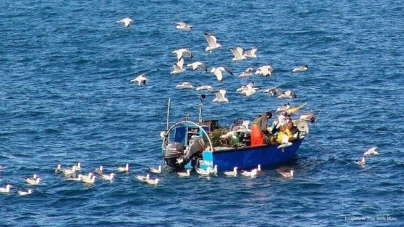 Directiva europeia ameaça pesca no norte de Portugal