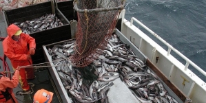Portugal foi um dos seis países com pesca ilegal identificado em relatório norte-americano