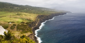 Direção Regional dos Assuntos do Mar remove cadáver de cachalote da costa de Castelo Branco, no Faial