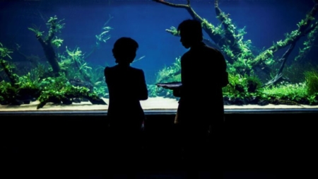 Oceanário de Lisboa apresenta “Florestas Submersas” by Takashi Amano. A maior e mais deslumbrante “nature aquarium” do mundo.