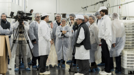A maior fábrica de bacalhau do mundo é portuguesa. Por ano, são processadas, na Moita, 100 mil toneladas.