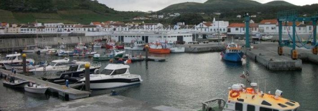 Ilha Graciosa // Pesca descarregada aumentou 150% nos primeiros 4 meses de 2015