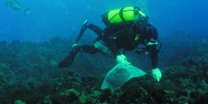 DOP // O investigador  João Gonçalves defende estudo para conhecer recursos marinhos dos Açores