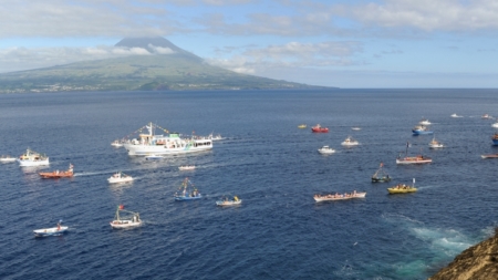 Faial // Cortejo Náutico Nossa Senhora da Guia