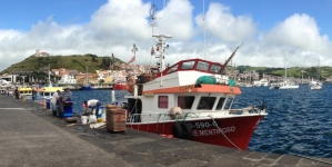 Açores interditam pesca do goraz na segunda quinzena de julho