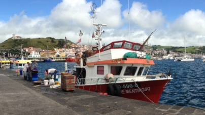 Açores interditam pesca do goraz na segunda quinzena de julho