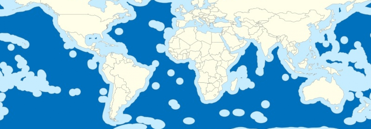 Crescimento azul volta a estar na ordem do dia