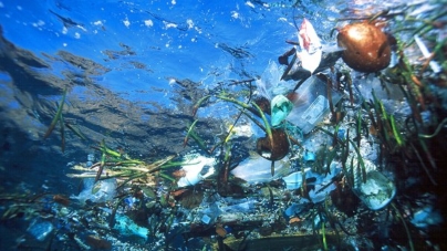 Produtos biodegradáveis não vão reduzir volume de plástico dos oceanos