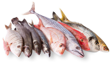 Produtos dos Açores em destaque em supermercados dos Estados Unidos da América
