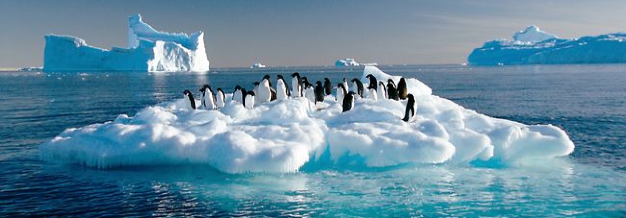 Composição química do Mar Glaciar Antártico vai alterar-se rapidamente