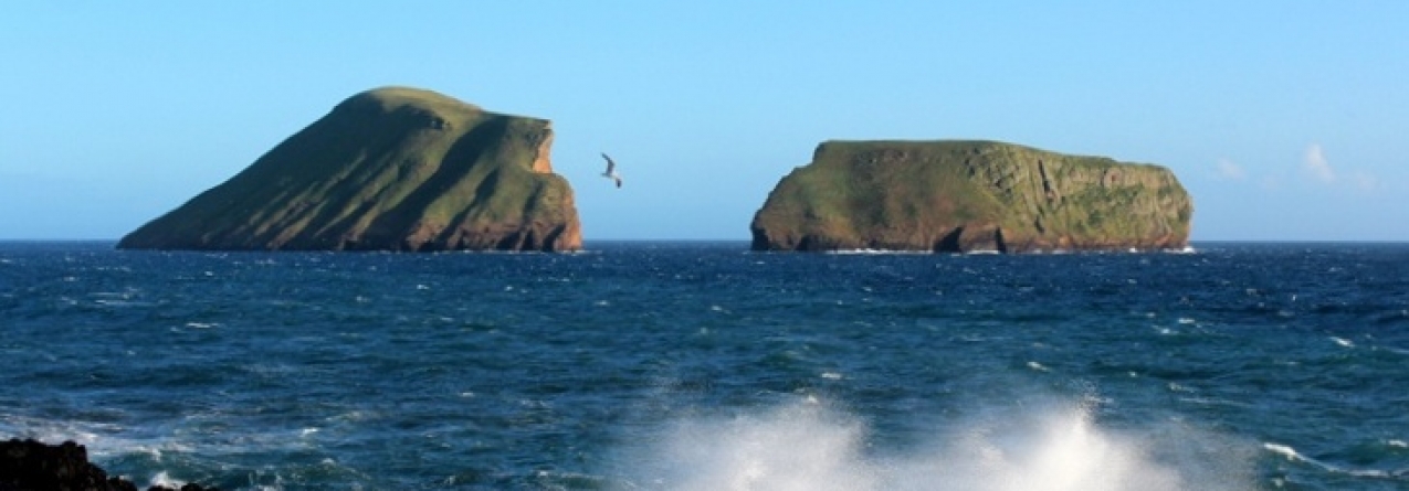 Embarcação de recreio naufraga ao largo da ilha Terceira, tripulantes salvos