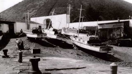Museu da Graciosa promove exposição sobre a baleação nos anos 50