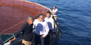 Açores // Empresários podem investir na produção de lírios e encharéus em aquacultura, além de larvas de altíssimo valor comercial