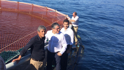 Açores // Empresários podem investir na produção de lírios e encharéus em aquacultura, além de larvas de altíssimo valor comercial