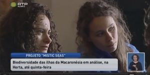 Cientistas marinhos reunidos no Faial (vídeo)