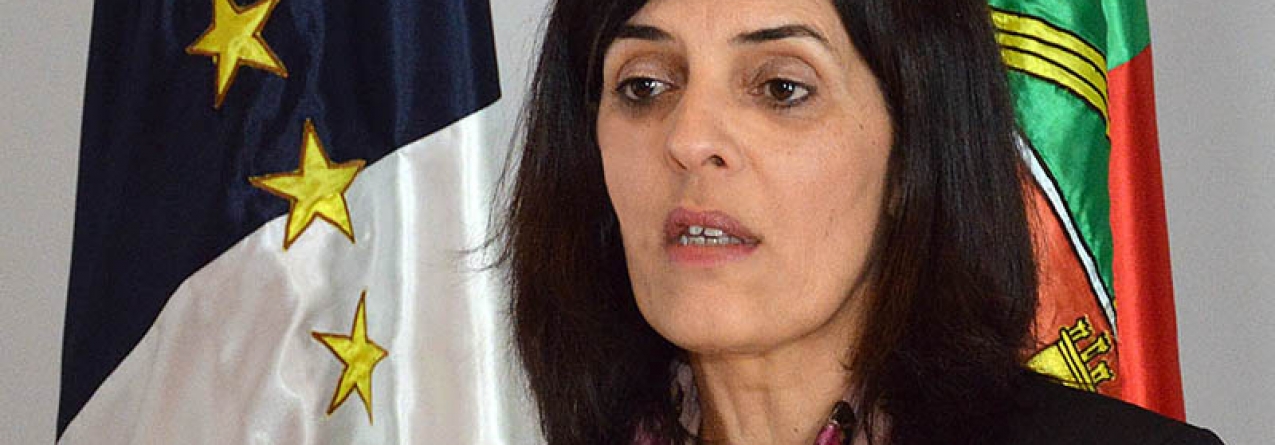 Governo dos Açores aprova novas medidas de apoio para agricultura e pescas
