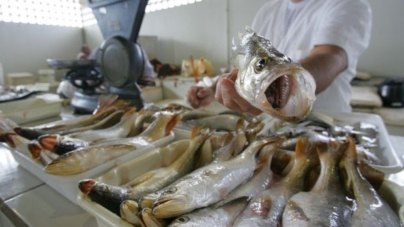 Espanha certificada pelo controle de pescado