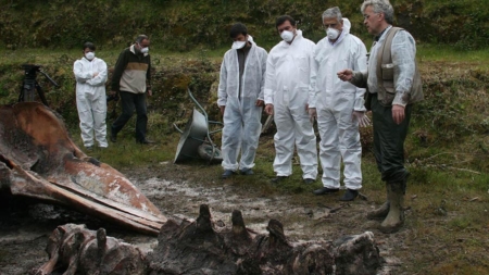 Exumação de esqueleto de cachalote para exposição é projeto pioneiro nos Açores