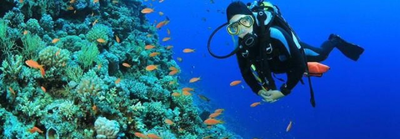 Governo dos Açores coorganiza Conferência Internacional sobre Biodiversidade, em Bruxelas