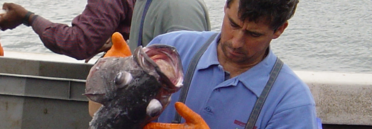 Grupos de Ação Local para as Pescas avançam nos Açores